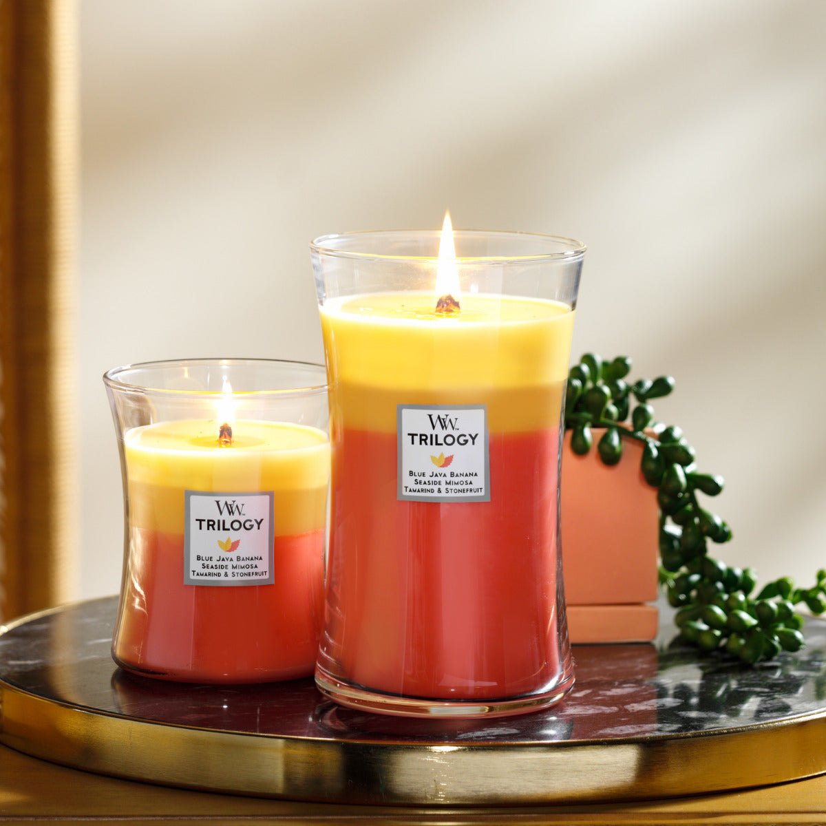 WoodWick Large Trilogy Candle - Tropical Sunrise