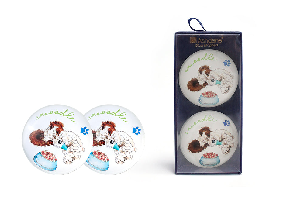 Oodles of Oodles - Cavoodle 2PK Magnet