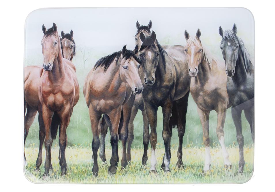 Beauty of Horses - In the Pasture Surface Protector