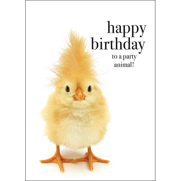 Animal Affirmations Card - Happy Birthday to a Party Animal! (Chick)