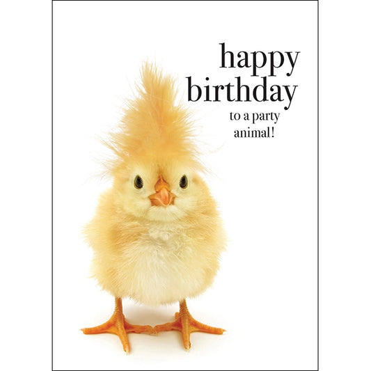 Animal Affirmations Card - Happy Birthday to a Party Animal! (Chick)