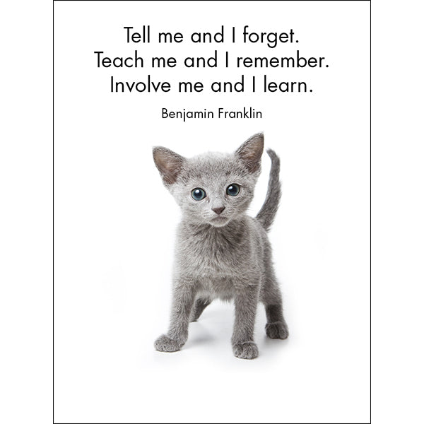 Little Affirmations Cards - Little Treasures