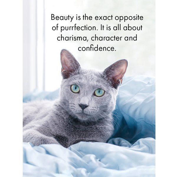 Little Affirmations Cards - The Cat’s Whiskers