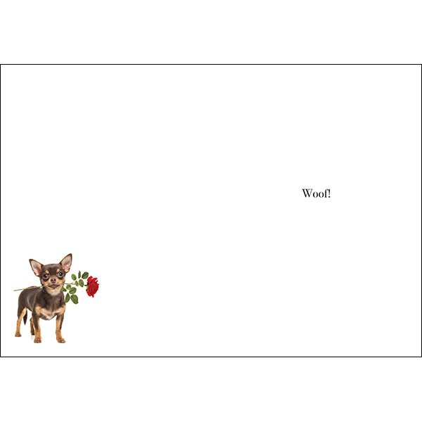 Animal Affirmations Card - Happy Birthday (Puppy in a Puddle)