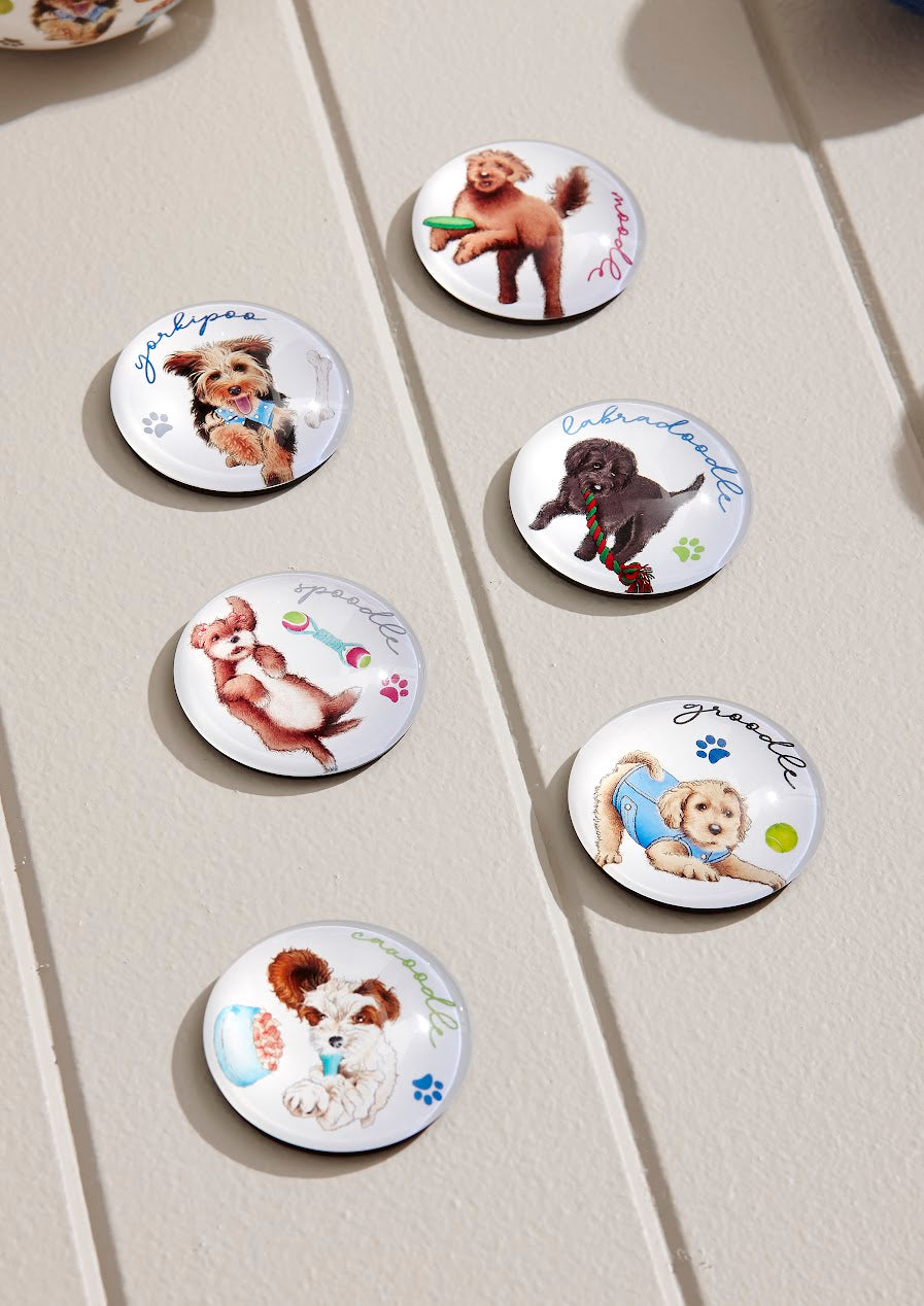 Oodles of Oodles - Cavoodle 2PK Magnet
