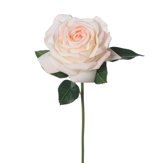 Rose Bella - Cream Pink 37cm