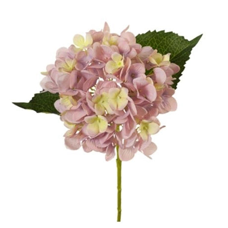 Hydrangea - Dusty Pink 46cm