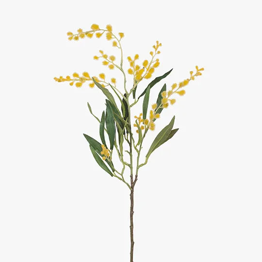 Wattle Spray 78cm