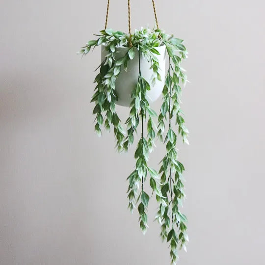 Ruscus Hanging Bush in Pot - Green & White 73cm