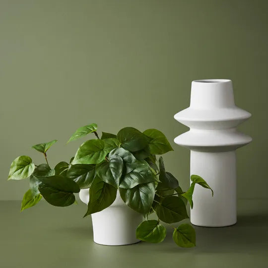 Philodendron in Pot - Green 19cm