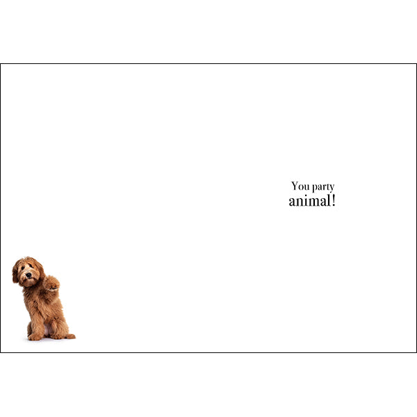 Animal Affirmations Card - Happy Birthday, You Party Animal! (Dog)