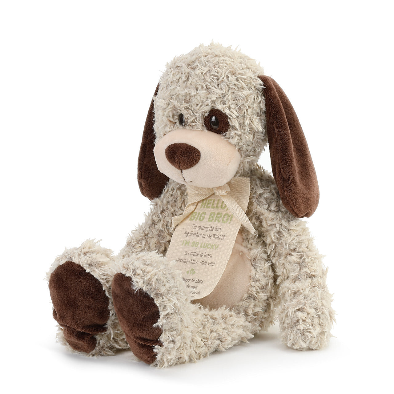 Gift From New Baby - Hello, Big Bro! Puppy