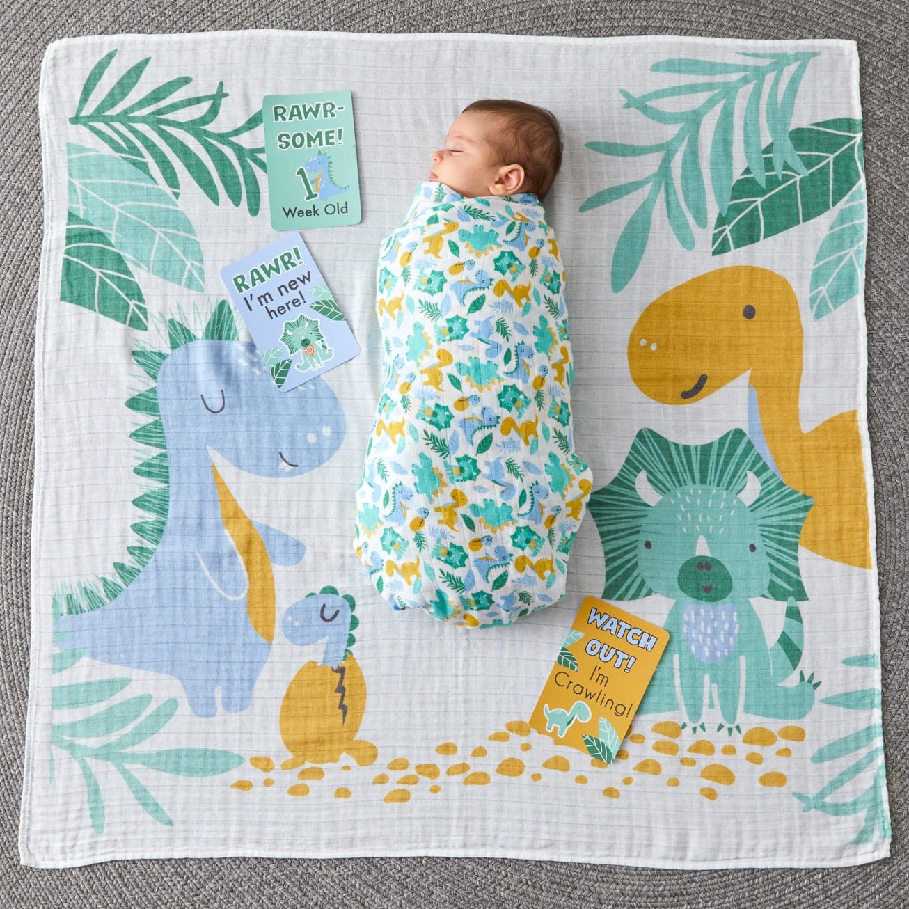 Milestone Muslin Set - Dinosaurs