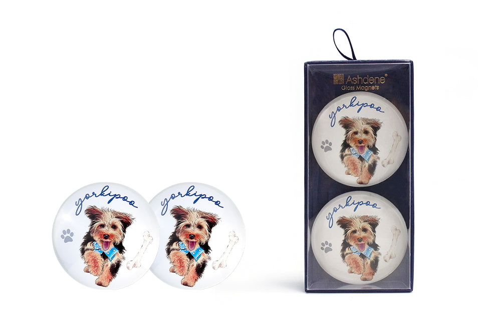 Oodles of Oodles - Yorkipoo 2PK Magnet