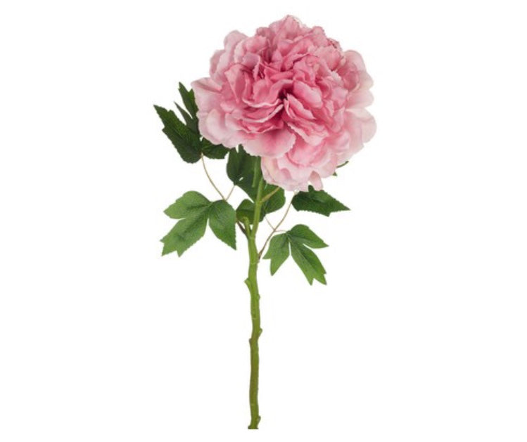 Peony - Dusty Pink 61cm