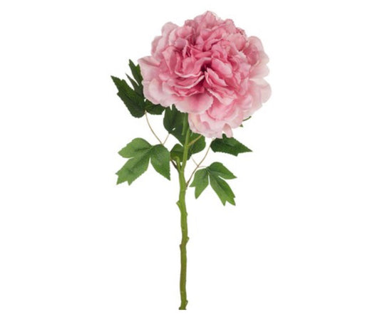 Peony - Dusty Pink 61cm