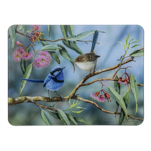 Australian Wren - Coral Gum Attraction Surface Protector