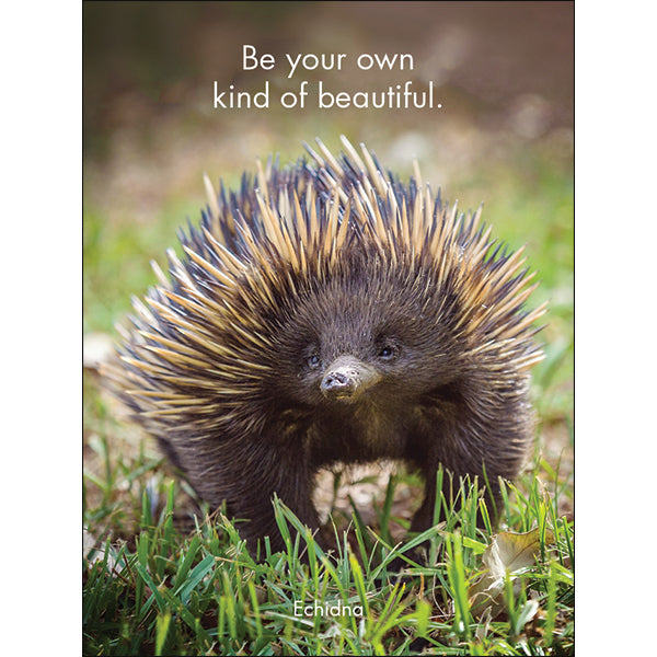 Little Affirmations Cards - Awesome Aussies