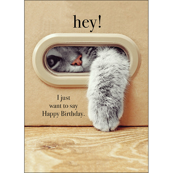 Animal Affirmations Card - Hey! Happy Birthday (Cat)