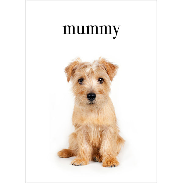 Animal Affirmations Card - Mummy, I Love You (Puppy)