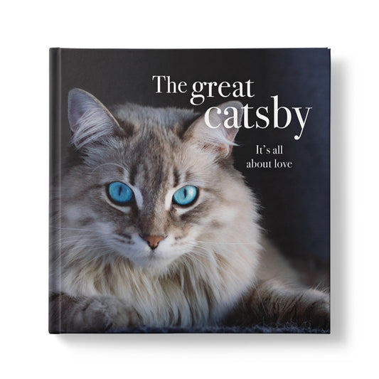 The Great Catsby - Inspirational Book