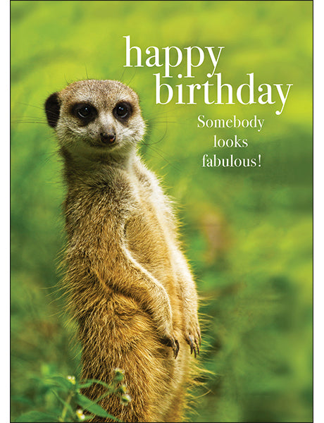 Animal Affirmations Card - Happy Birthday, Somebody Looks Fabulous! (Meerkat)