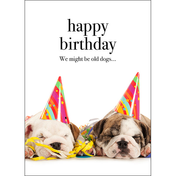 Animal Affirmations Card - Happy Birthday, We Might Be Old Dogs...