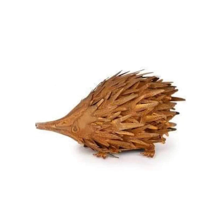 Rust Echidna (Small)