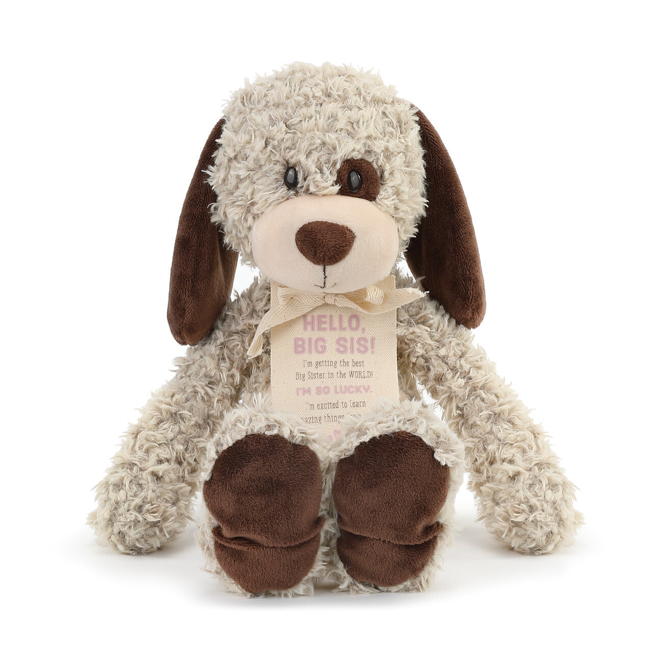 Gift From New Baby - Hello, Big Sis! Puppy