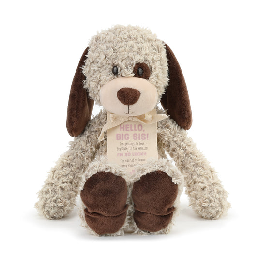 Gift From New Baby - Hello, Big Sis! Puppy
