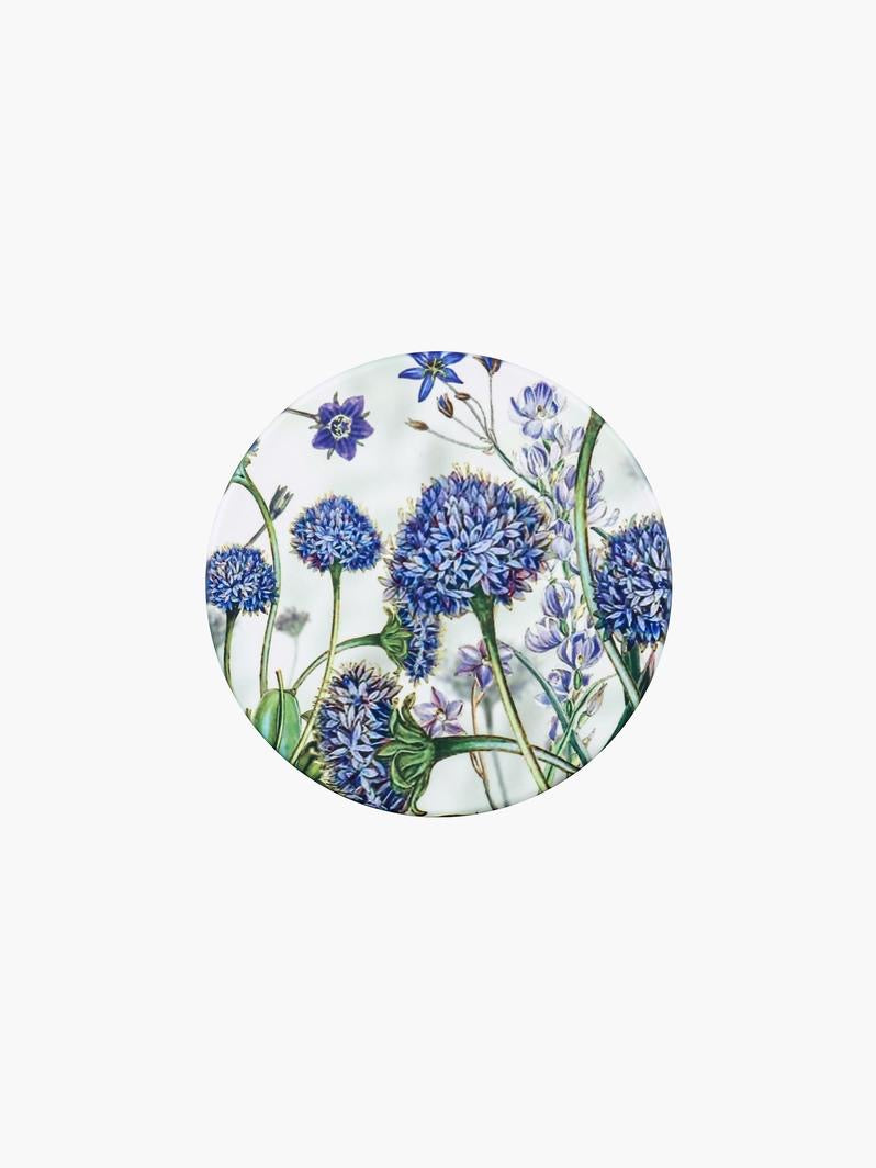 Brunonia Australis Ceramic Coaster
