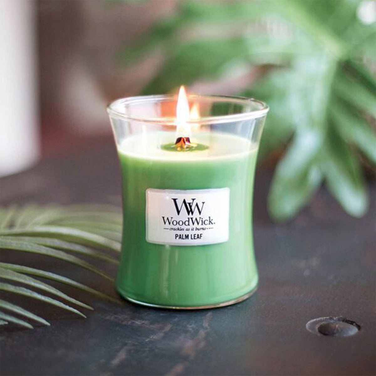WoodWick Medium Candle - Palm Leaf