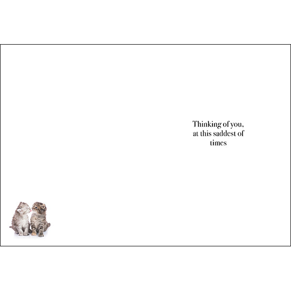 Animal Affirmations Card - When You Lose Someone (Cat)