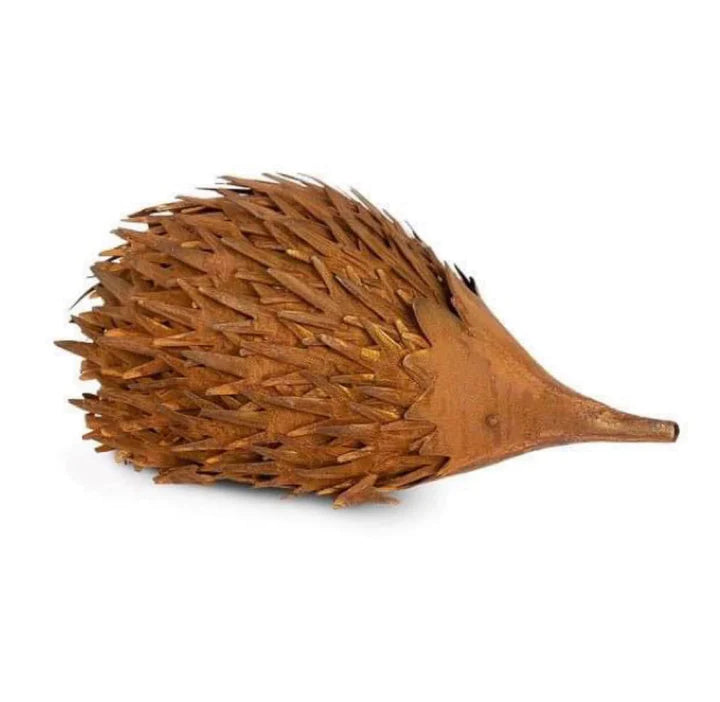 Rust Echidna (Large)