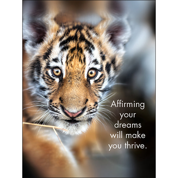 Little Affirmations Cards - You’re The Best