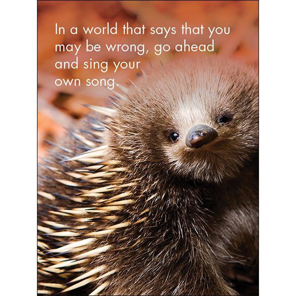 Little Affirmations Cards - You’re One of a Kind