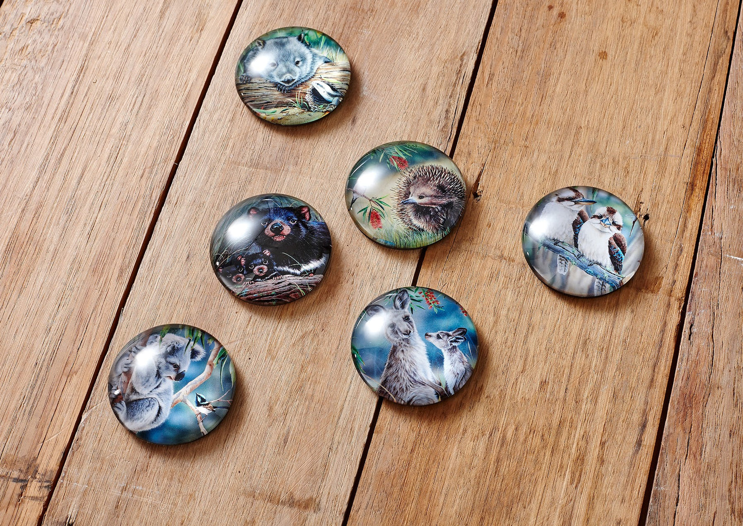 Fauna of Aus - Magnet 6PK