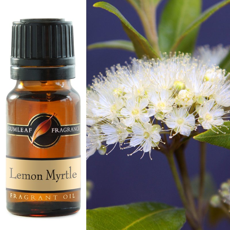 Fragrance Oil - Lemon Myrtle