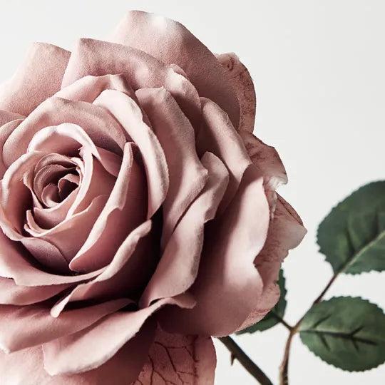 Rose Madonna - Dusty Pink 67cm