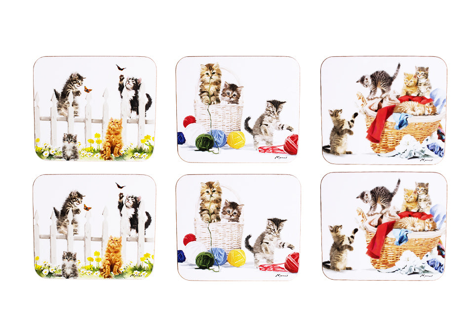 Kitten Adventures - Coaster 6PK