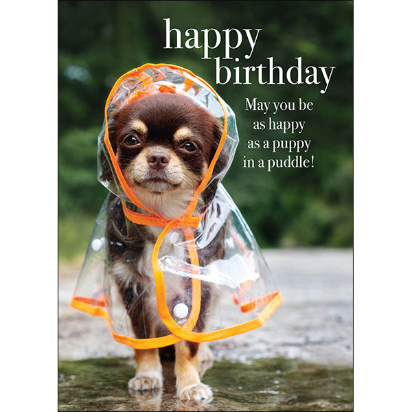 Animal Affirmations Card - Happy Birthday (Puppy in a Puddle)