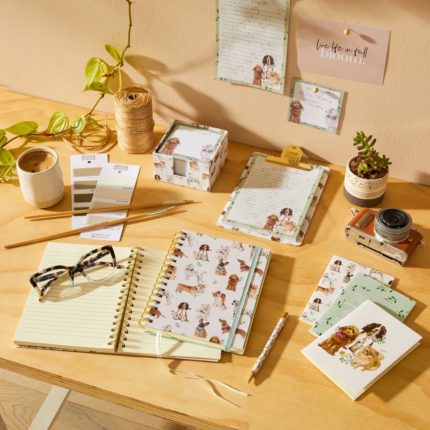 Pawfect A6 Pocket Notebooks Set of 3