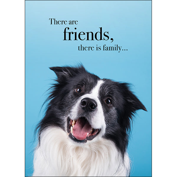 Animal Affirmations Card - There Are Friends, There Is Family... (Dog)