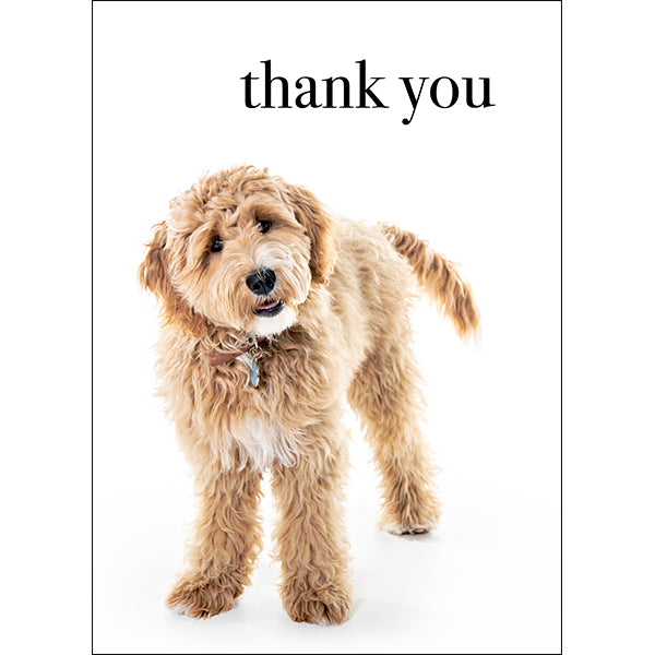 Animal Affirmations Card - Thank You (Dog)