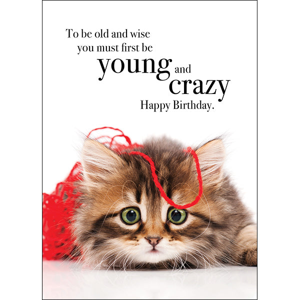 Animal Affirmations Card - Happy Birthday (Young and Crazy)