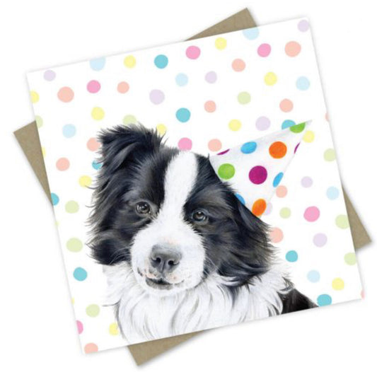 Card - Birthday Dogs & Cats: “Bennie” the Border Collie