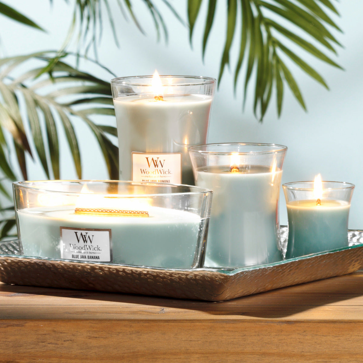 WoodWick Medium Candle - Blue Java Banana