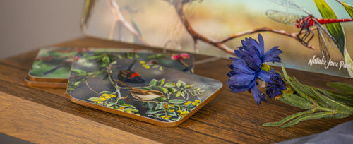 Australian Wren - 6pk Coasters