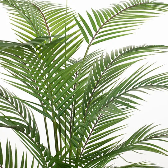 Palm Parlour - Green 126cm