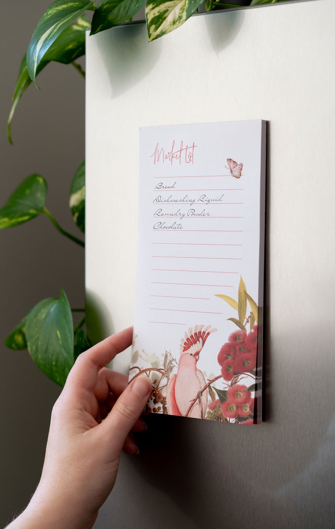 Flowering Gum Market List